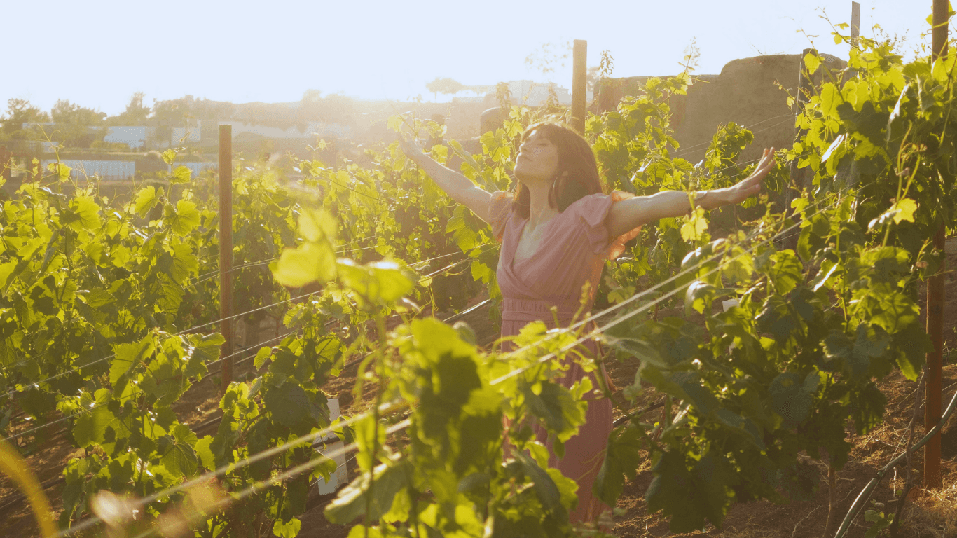 La verdadera vida en abundancia que Jesús quiere darte