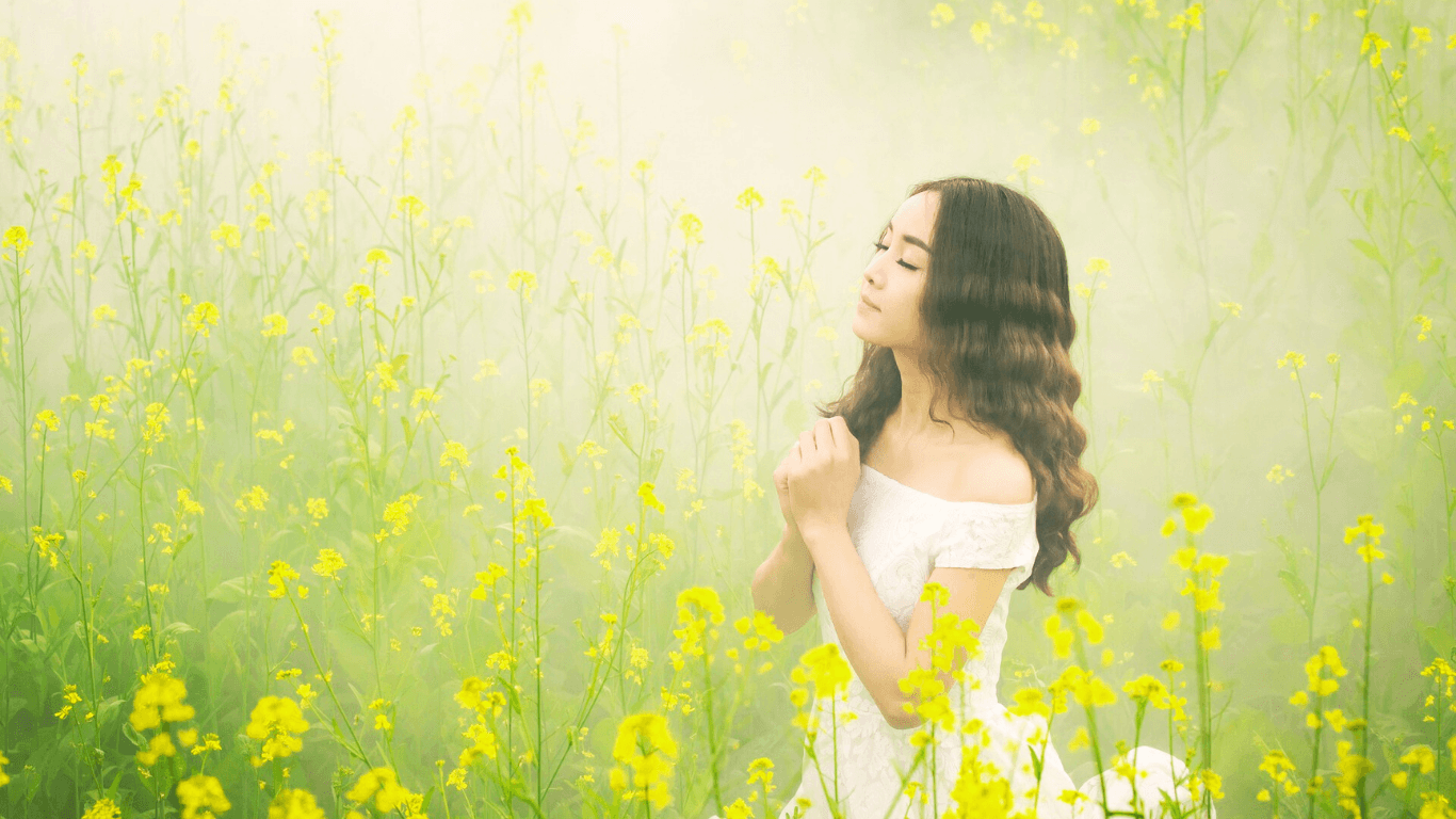 El descanso de un corazón rendido