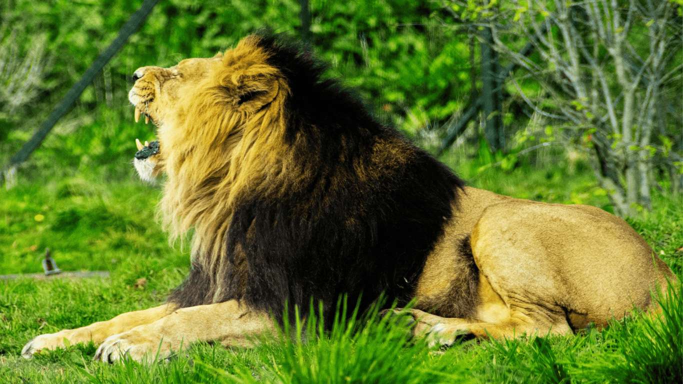 Identificando al enemigo: permaneciendo firmes en Dios