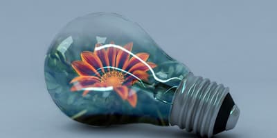 Creatividad: Un Don Divino que Debemos Cultivar